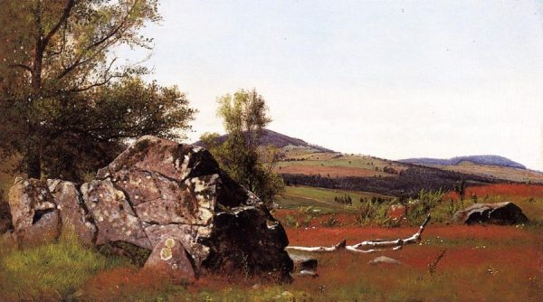 Summer in the Catskills by James McDougal Hart