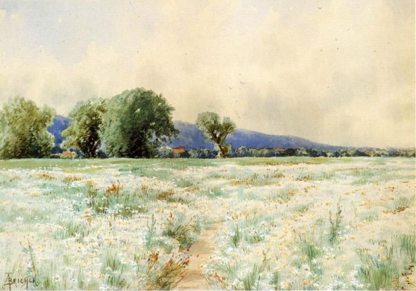 The Daisy Field by Alfred Thompson Bricher
