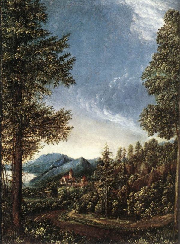 The Danube Valley Near Regensburg by Albrecht Altdorfer