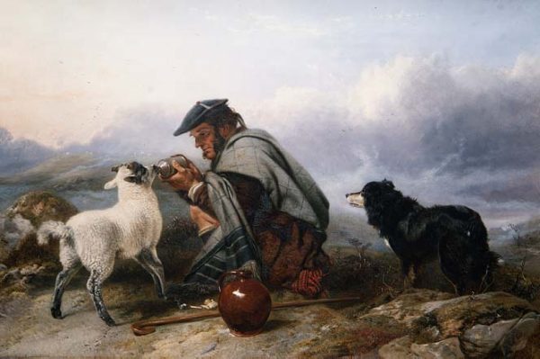 The Sick Lamb 1853 by Richard Ansdell