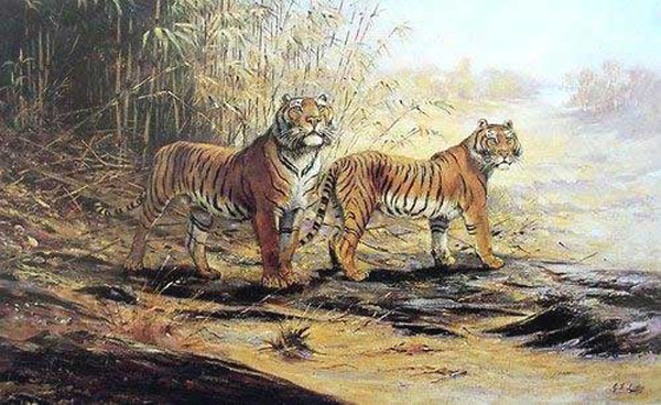 Tiger Paintings N001