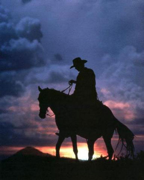 US West Paintings N091