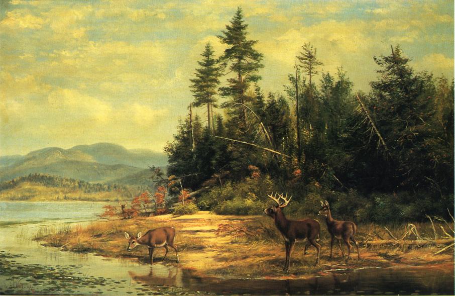 View on Long Lake by Arthur Fitzwilliam Tait - hand-painted oil reproduction