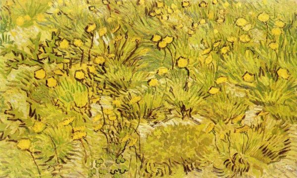 A Field of Yellow Flowers by Vincent Van Gogh