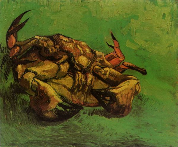 Crab on Its Back by Vincent Van Gogh