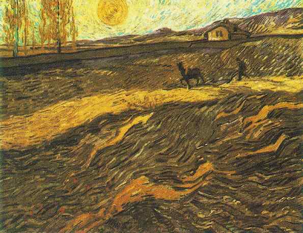 Enclosed Field with Ploughman Yellow