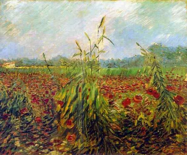 Green Ears of Wheat by Vincent Van Gogh