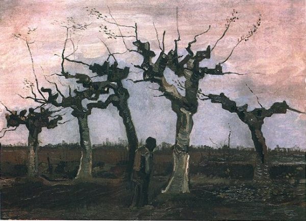 Landscape with Pollard Willows by Vincent Van Gogh