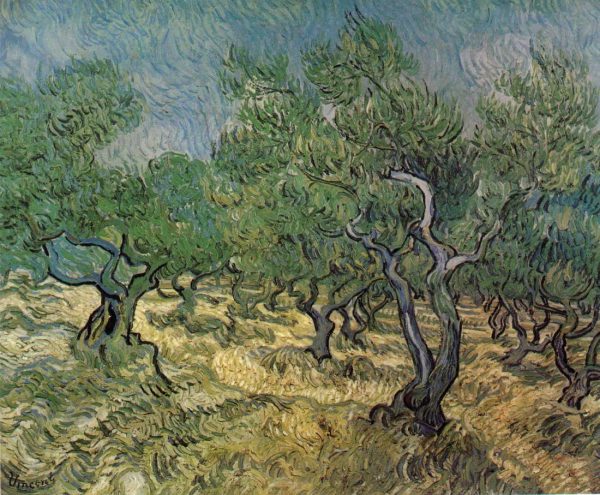 Olive Grove by Vincent Van Gogh