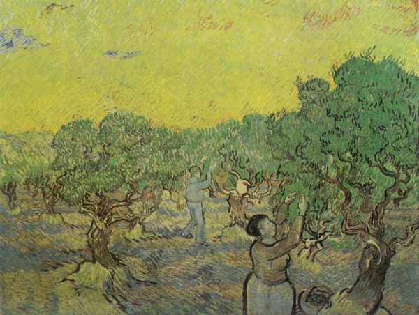 Olive Grove Pale Blue Sky by Vincent Van Gogh