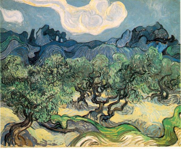 Olive Trees Bright Blue Sky by Vincent Van Gogh