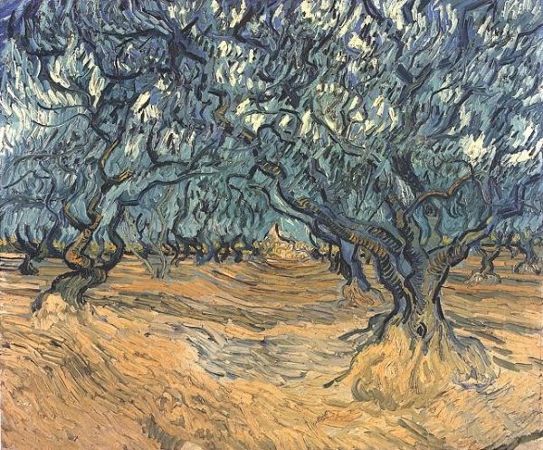 Olive Trees by Vincent Van Gogh