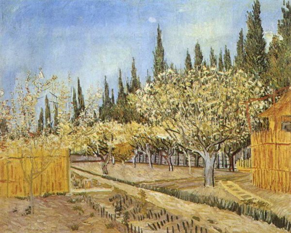 Orchard in Blossom Bordered by Vincent Van Gogh