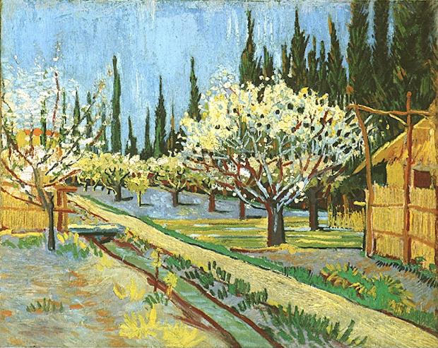 Orchard in Blossom Bordered by Cypresses