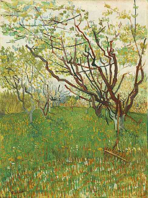 Orchard in Blossom Green