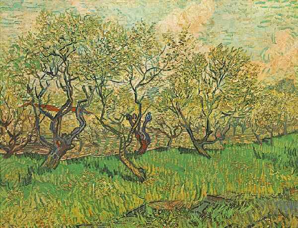 Orchard in Blossom