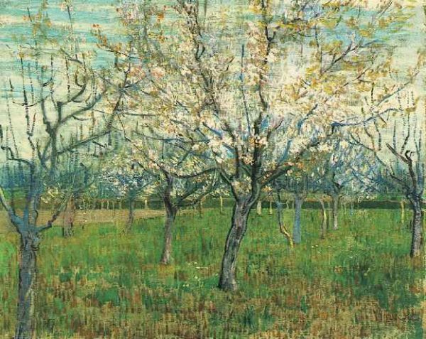 Orchard with Blossoming Apricot Trees by Vincent Van Gogh