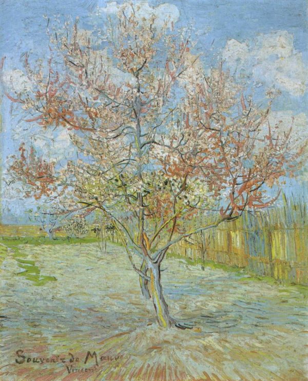 Souvenir de Mauve by Vincent Van Gogh
