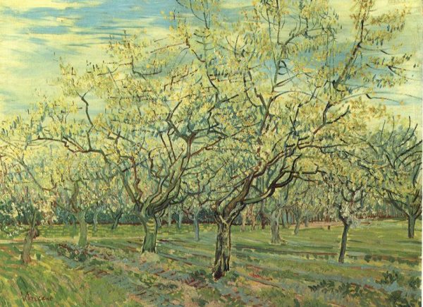 The White Orchard by Vincent Van Gogh