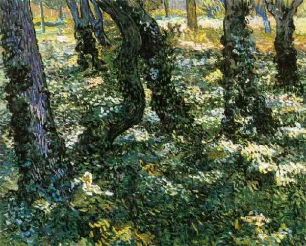 Tree Trunks with Ivy by Vincent Van Gogh
