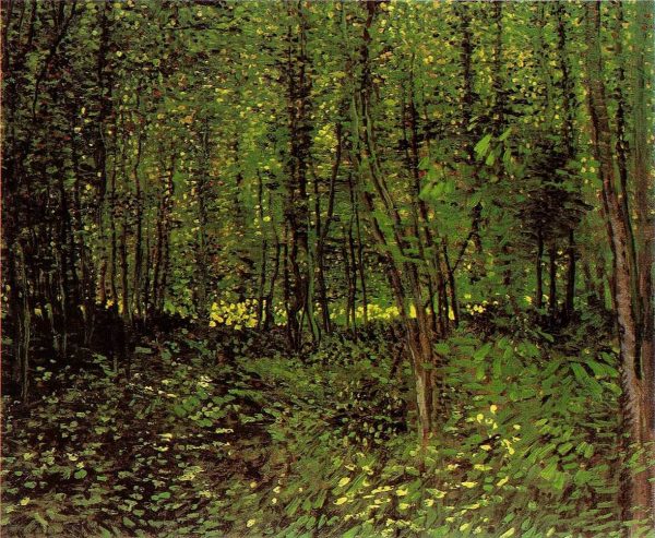 Trees and Undergrowth Dark by Vincent Van Gogh