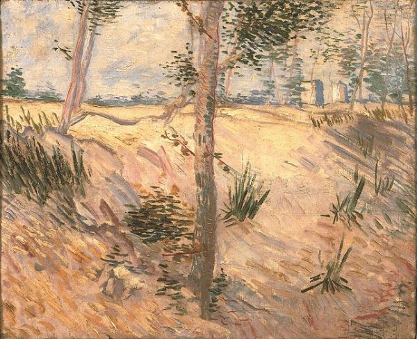 Trees in a Field on a Sunny Day by Vincent Van Gogh