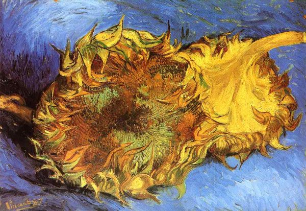 Two Cut Sunflowers Blue by Vincent Van Gogh