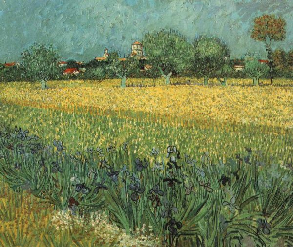 View of Arles with Irises in the Foreground by Vincent Van Gogh