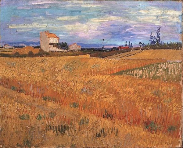 Wheat Field by Vincent Van Gogh