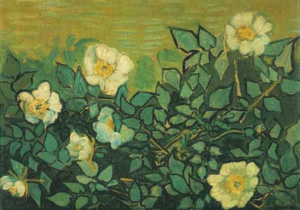 Wild Roses by Vincent Van Gogh