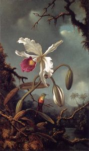 White Brazilian Orchid by Martin Johnson Heade - hand-painted oil reproduction