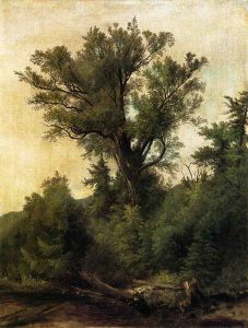 Woodland Stream by Asher B Durand - hand-painted oil reproduction