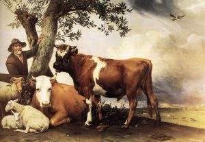 Young Bull by Paulus Potter - hand-painted oil reproduction
