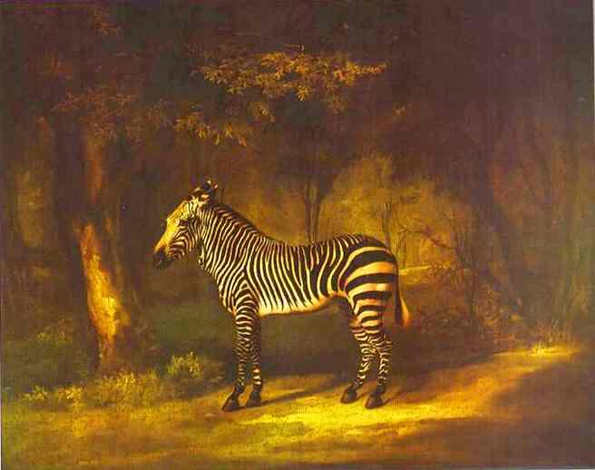 Zebra by George Stubbs - hand-painted oil reproduction
