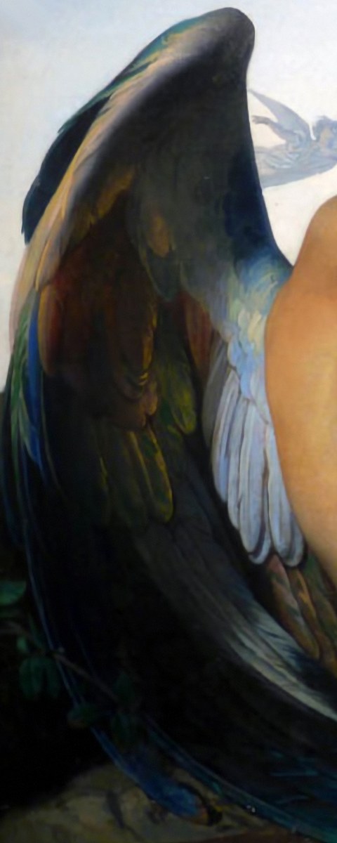 The fallen angel's great wing, white feathers near the shoulder turning to peacock blue, gold and almost black at the tips