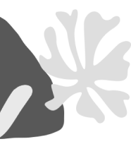 ByMuseum.com