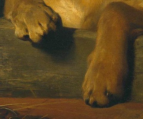 The bloodhound’s large paws over the kennel edge