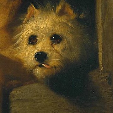 The small white terrier peeking out