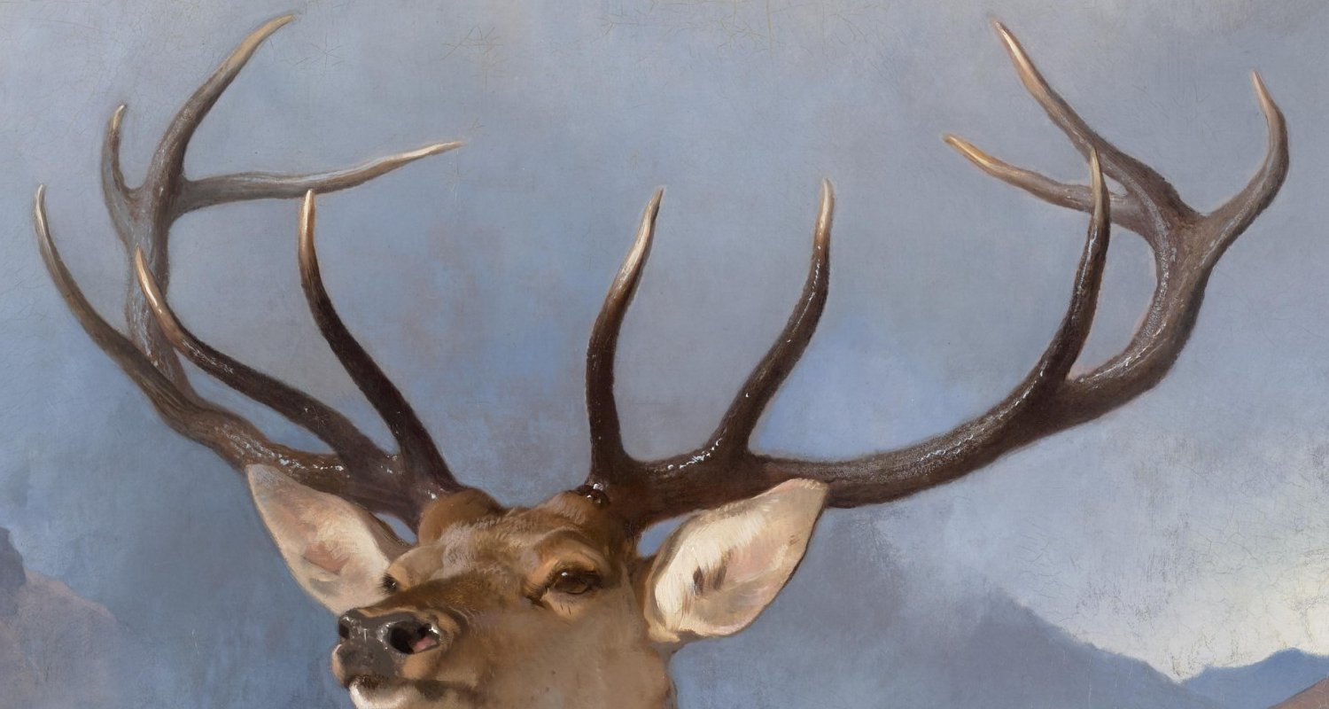 Twelve-point antlers spread against pale clouds