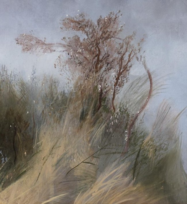 Wind-bent grasses and a small bare shrub