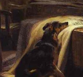 The collie pressing its chin against the coffin