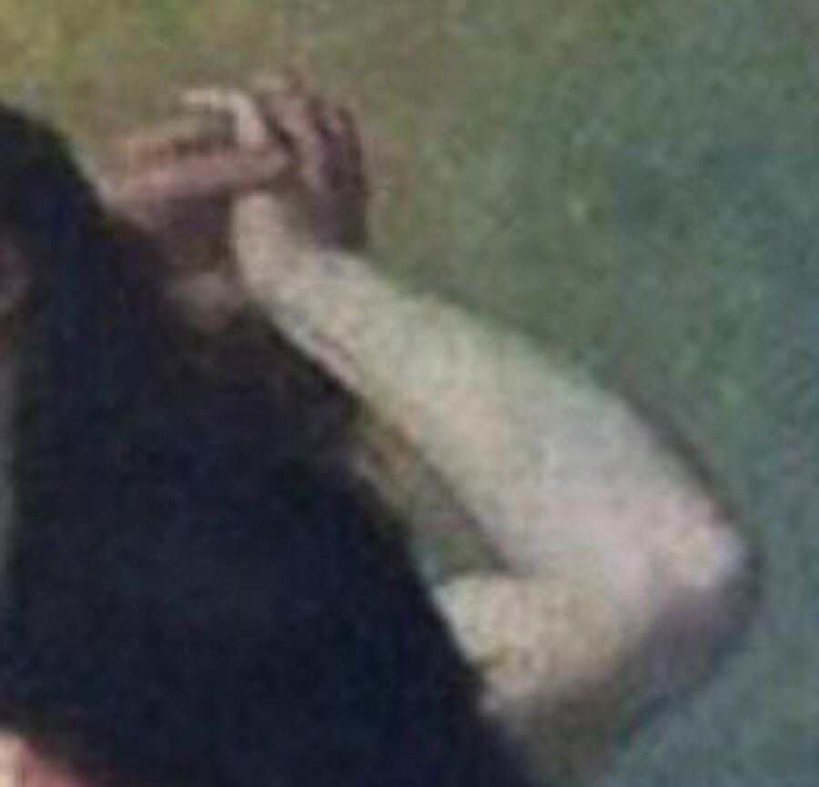 Two hands clasped above a head of dark hair