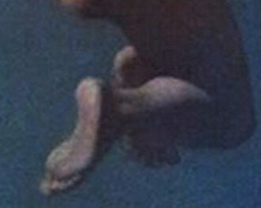 The feet of the lowest figure dissolving into dark blue
