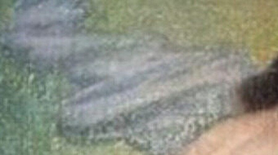 A white gauzy veil drifting through the green air at the top of the painting