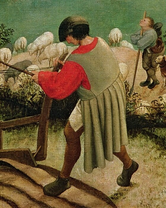 The ploughman in a red shirt guiding his plough along the furrows