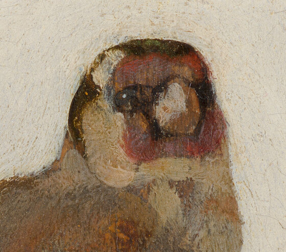 The goldfinch's head with its red face, black crown and dark eye, painted in a few strokes