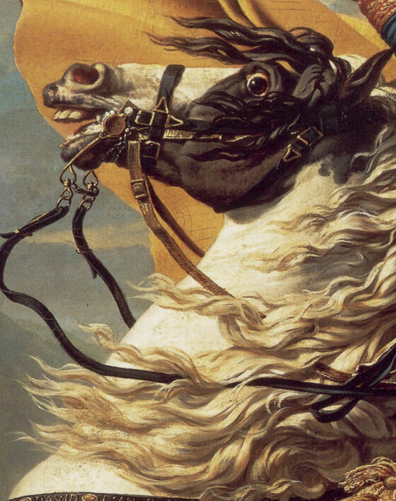 The rearing horse's head with its mane blown forward and its eye rolled toward the viewer