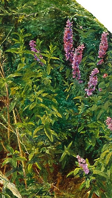 Tall spikes of purple loosestrife growing at the top right of the painting