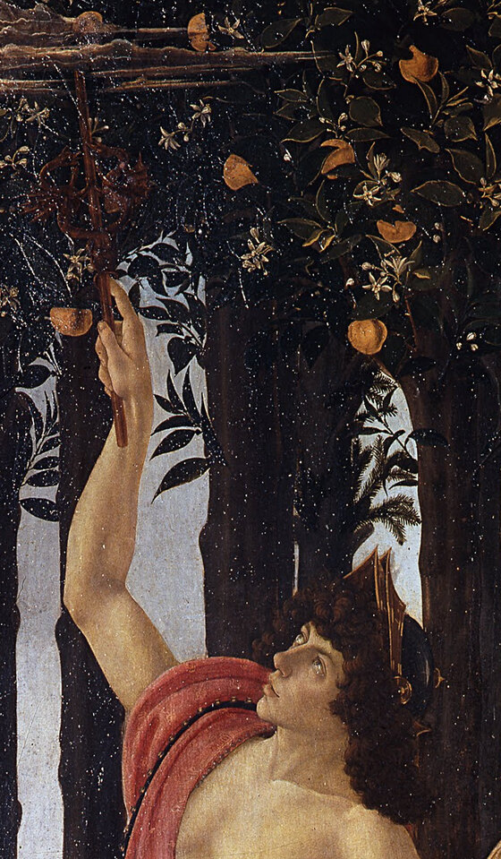 Mercury in a red cloak and winged sandals reaching up with his staff to touch a small cloud in the orange trees