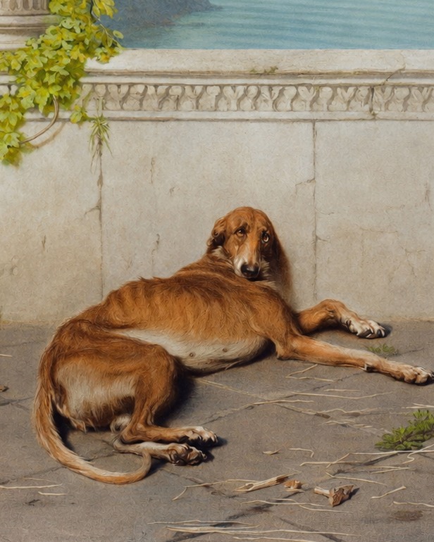 Argus lying on the terrace
